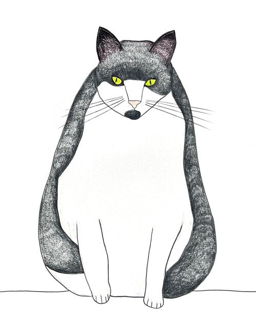 Adam Jones Cat 8x10 Art Print from natchie